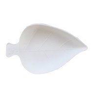Bagasse Egg Shaped Tasting Dish 100 count box N3