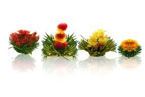 Tea gift Glass Teapot Duo, 16oz/470ml with Fab Flowering Tea (2 Blooms) N2