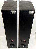 Klipsch Synergy SF2 (Ea) 2 Way Floorstanding Speaker N2