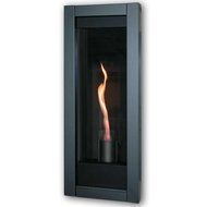 Napoleon GT8P Torch 16&quot; Direct Vent Fireplace Propane Gas Electronic N2