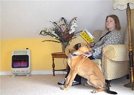 Mr. Heater, Corporation Mr. Heater, 10,000 BTU Vent Free Blue Flame Propane Heater, MHVFB10LP N6