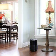 Vornado Evap2 Whole Room Evaporative Humidifier N6