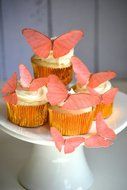 Edible Butterflies &copy; - Coral Set of 15 - Cake and Cupcake Toppers, Decoration
