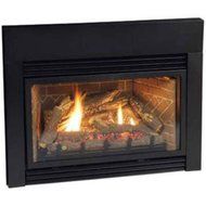 Direct Vent Fireplace Insert DV25IN73LP - Liquid Propane