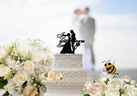 Star Wars I Love You I Know Inspired Wedding Cake Topper