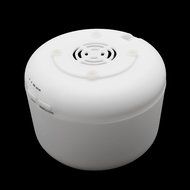 Arich Aroma Diffuser Atomizer Air Humidifier LED Ultrasonic Purifier Fragrant 300mL PP (WL) N5