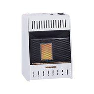 Procom Heating TV209320 6K BTU NAT Wall Heater