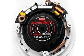 Earthquake - SS-82W Sweetspot Angled Ceiling Speaker