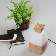 BEW Aromatherapy Diffuser,Wood Grain Cool Mist Ultrasonic Humidifier for Office Home Bedroom Living Room Study... N21