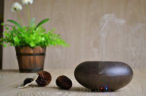 LUOYIMAN Electric Aroma Diffuser Humidifier Whisper-quiet Operation well design Enjoy Aromatherapy Experience... N6