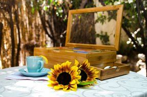 Tea Box Organizer Natural Bamboo Elegant Tea Chest With 8 Storage Compartments and Slide Out Drawer For All Tea... N2