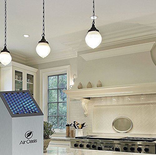 Air Oasis(TM) AO1000 Residential Air Sanifier(R) Purifier Air Oasis 1000 G3 Residential Air Sanifie N4
