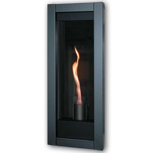 Napoleon GT8P Torch 16" Direct Vent Fireplace Propane Gas Electronic