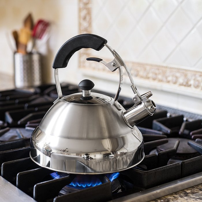 Extra Sturdy Surgical Stainless Steel 2.75 Quart Bellemain Whistling Kettle with Aluminum Layered Bottom N5