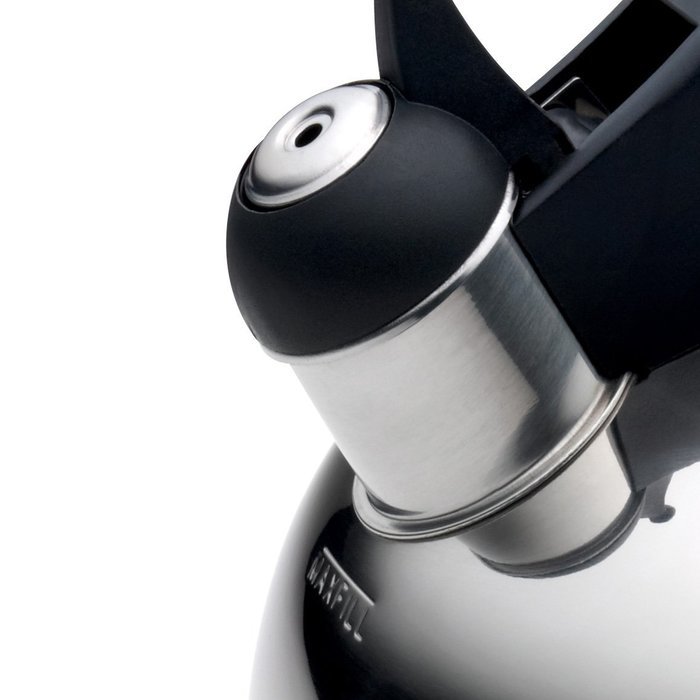Paula Deen Signature Teakettles Stainless Steel Kettle, 2-Quart N3