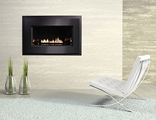 Loft Series DV MED IP Fireplace, Metal Frame & SS Front, LP