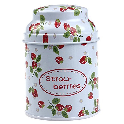 Floral Storage Box - SODIAL(R)Fashion Metal Candy Trinket Tin Jewelry Iron Tea Coin Storage Square Box Case