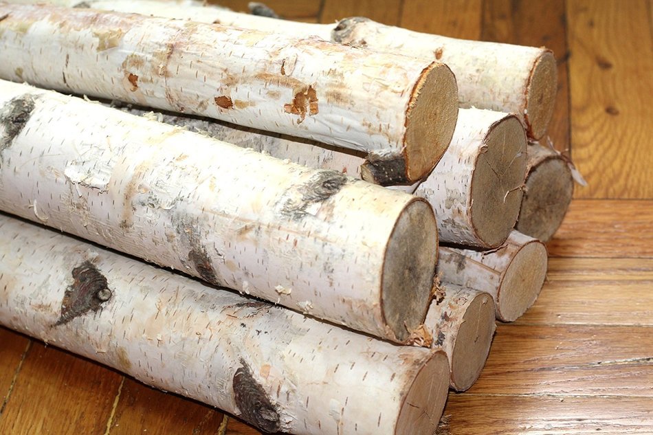 Northern white birch logs. set of 8 logs N3
