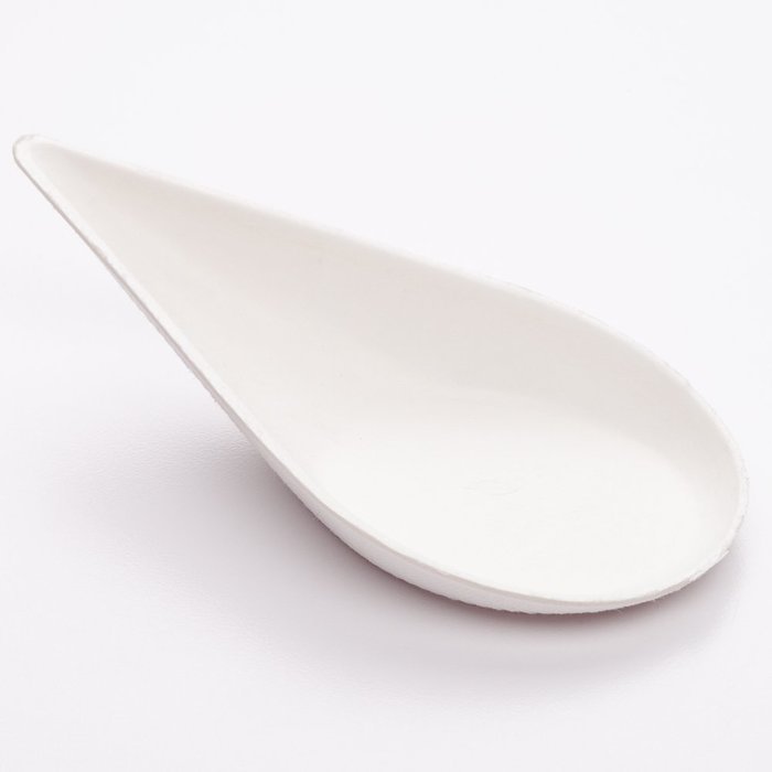 Bagasse Egg Shaped Tasting Dish 100 count box