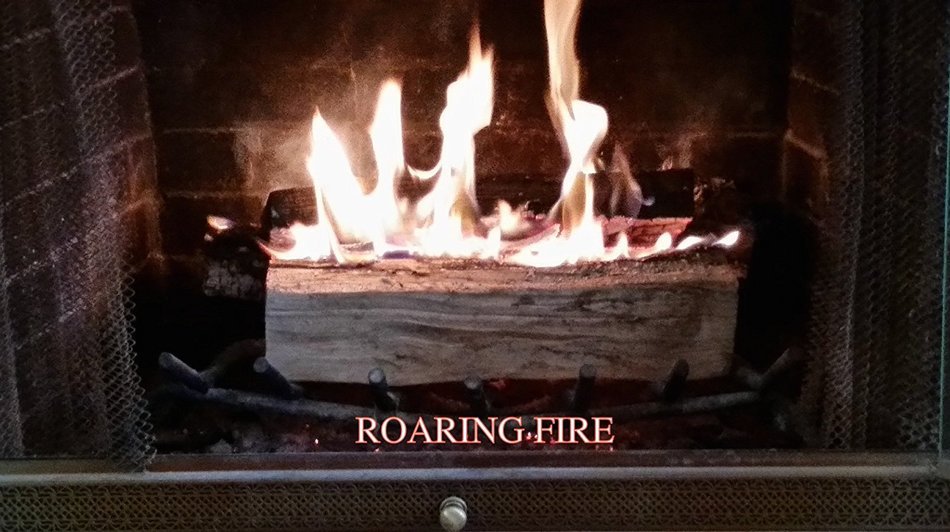 Fireplace Bellows TFS N4