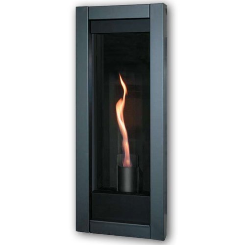 Napoleon GT8P Torch 16" Direct Vent Fireplace Propane Gas Electronic N2
