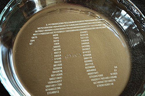 Pi Day Pie Plate By Gonegirly