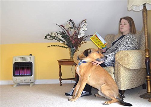 Mr. Heater, Corporation Mr. Heater, 10,000 BTU Vent Free Blue Flame Propane Heater, MHVFB10LP N6