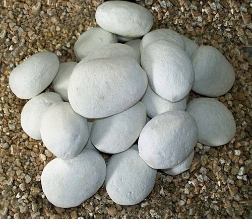 Vermiculite with Ceramic Fireplace Pebbles - White N2