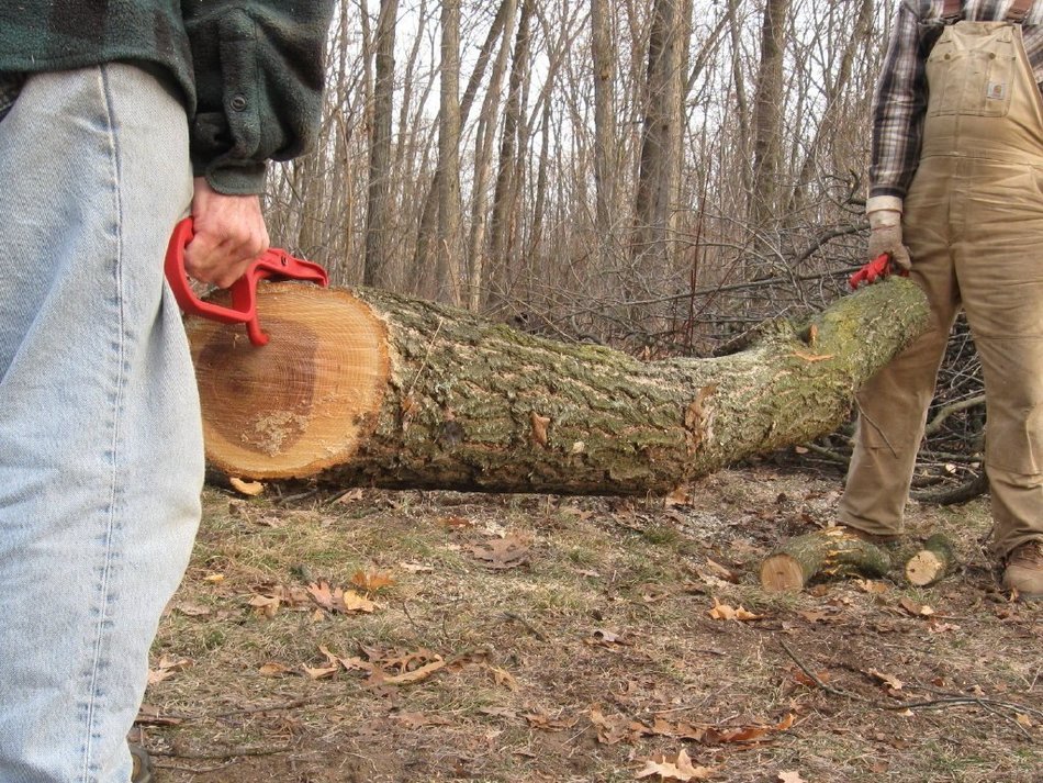 LogJaw Log Handles - Cuz Logs Dont Come with Handles N4