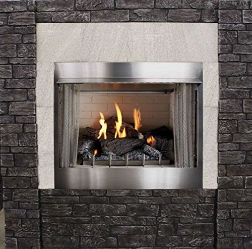 Outdoor Premium 36 Traditional IP Fireplace with Log set, NG N2
