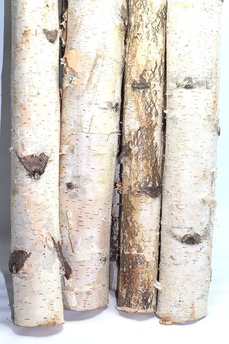 Northern white birch logs. set of 8 logs N4