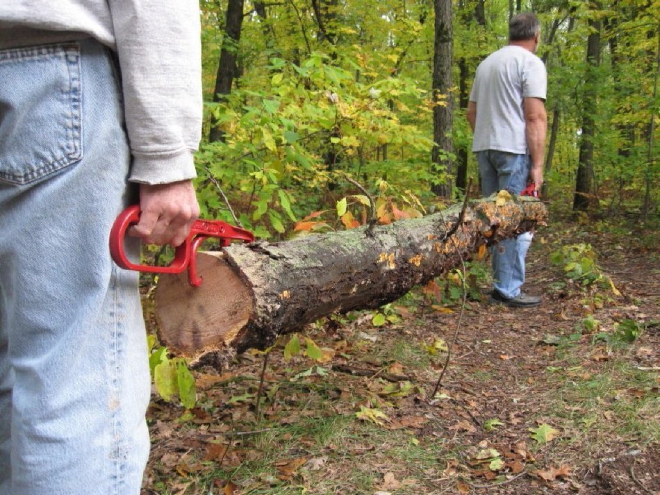 LogJaw Log Handles - Cuz Logs Dont Come with Handles N9