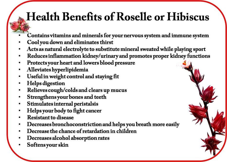 natural dry Roselle or Hibiscus tea flower beverage drinking for health high in vitamin C