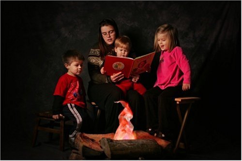 Indoor Campfire an Artificial Flame Fake Fire great prop for Halloween N3