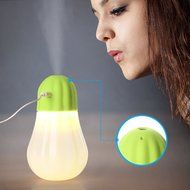 Humidifier, Hard Crafts Bulb Personal Humidifier - 350 ml Portable Cool Mist Humidifier with LED Lights, Humidifiers... N5