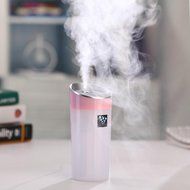 Alonea Car Family expenses Anion Humidifier Air Purifier Freshener With USB Interface (White) N13