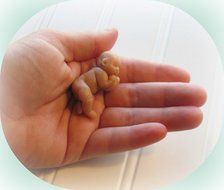 Mold for Little Baby "Lulu" Soft Silicone Mold Handmade Supply 1.5" N3