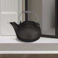 Pleasant Hearth Kettle Steamer, 3-Quart N2
