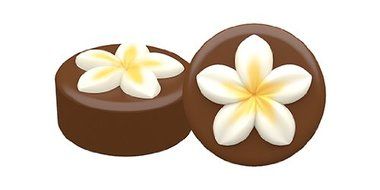 SpinningLeaf Plumeria Sandwich Cookie Mold