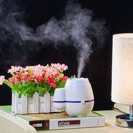 RReliatronic Ultrasonic Mini Cool Mist Humidifier-Whisperquiet Operation Air Moistening - USB Air Purifier for... N4