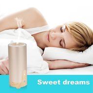BEW Aroma Diffuser and Purifier with Car Charger and USB Cable for Car Office Home (Cylinder,40ML, Silver) N11