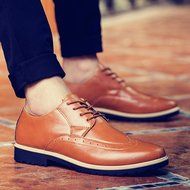 KAKA(TM) Men Fashion Design Spring Autumn PU Leather Lace Up Platform Shoes 40 N4