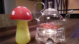 LAYlala&reg; Unique Beautiful Mushroom Design 200ml Ultrasonic USB Air Humidifier Purifier with Led Light for Office... N4