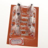 Set of 6pcs Russian Flower Stainless Steel Icing Piping Nozzle Tip Cake Tool N3