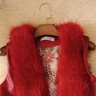 Spritech(TM) Women's Girls Fashion Winter Short Faux Fur Wool Vest PU Leather Jacket N13