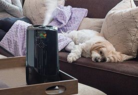 Sharper Image Smart Sensing Digital Humidifier N2