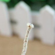 Mr.Garden Alcohol Lamp Wicks 0.12" (5) N2