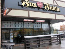 Solaira SALPHAH3-60240S Solaria Alpha Series - Electric Infrared Commercial Heater, Silver/Grey Finish N2