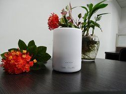 SolidPin 300ml Aromatherapy Essential Oil Diffuser Cool Mist Air Humidifier Portable diffuser with 7 Color LED...