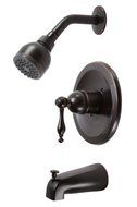 Premier Faucet 119275 Wellington Single Handle Tub &amp; Shower Faucet, Parisian Bronze by Premier Faucet
